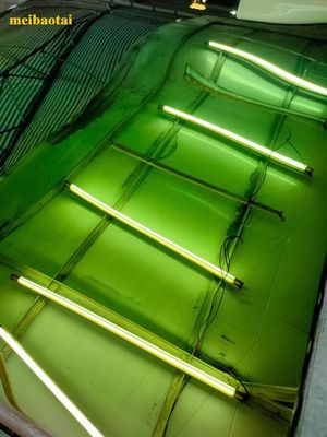 ভালো দাম সবুজ আয়না রঙিন শীট পিভিডি লেপ সজ্জা স্টেইনলেস স্টীল প্লেট অনলাইন