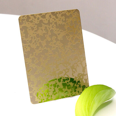 বিভিন্ন রঙের লেপ 201 304 ইটচিং স্টেইনলেস স্টীল প্লেট